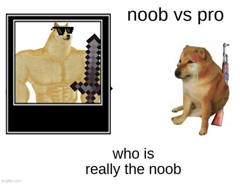 Who Is Noob Imgflip