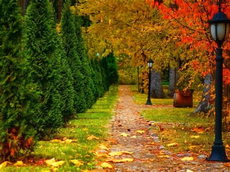 Nature Landscape Autumn Road Trees Wallpaper In 1024x768 Resolution