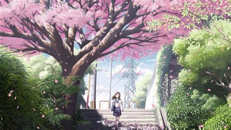 Anime Girl Relaxing Sakura Trees Live Wallpaper Free Youtube