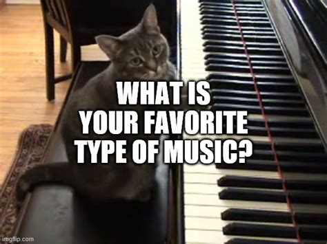 Cat Piano Imgflip