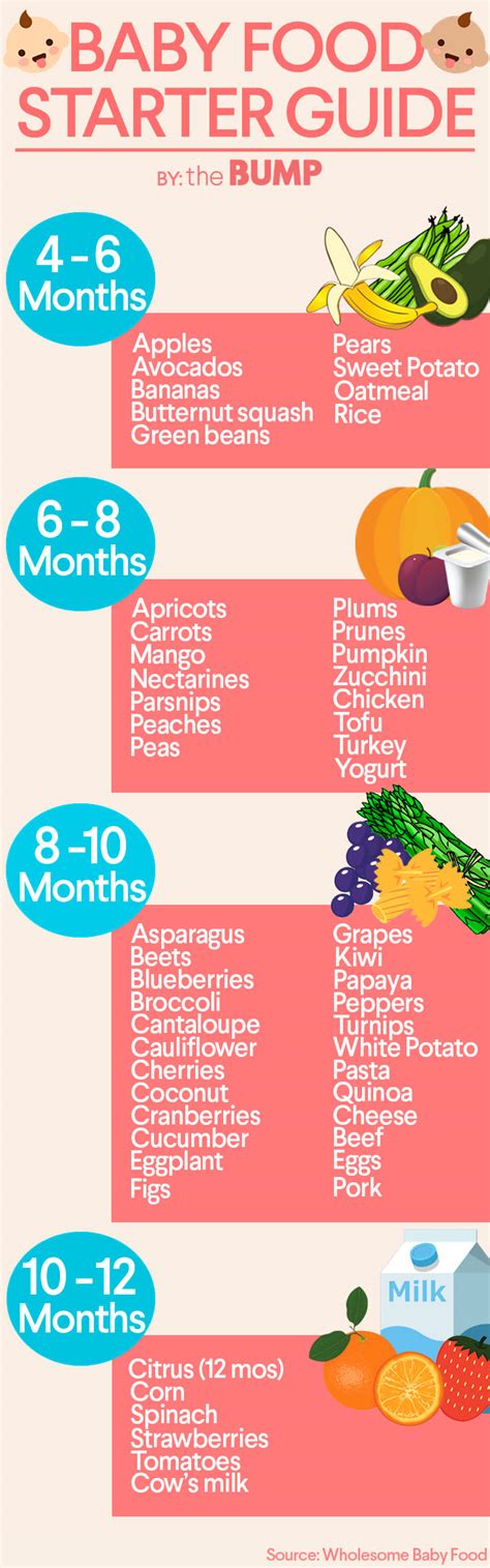 Chart For Introducing Solid Foods To Baby Chart Walls