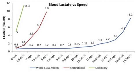 Mitochondrial Density And Metabolic Flexibility Eating Rules