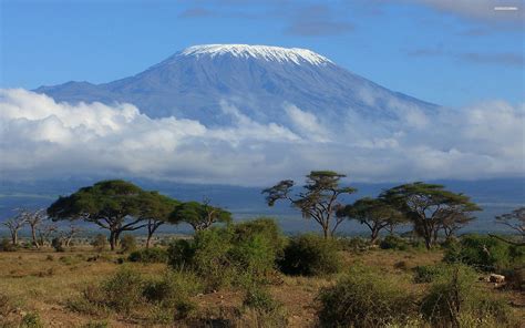 Mount Kenya Wallpapers Top Free Mount Kenya Backgrounds Wallpaperaccess