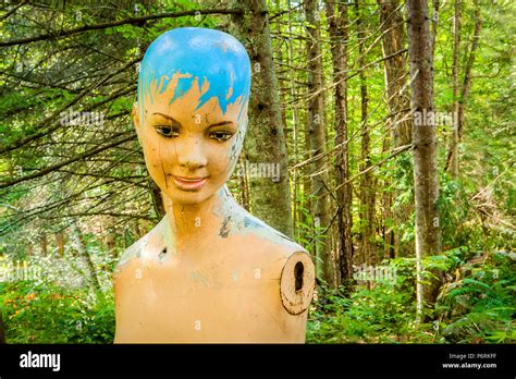 A Damaged Painted Abandoned Mannequin Stands Outdoors In A Forest
