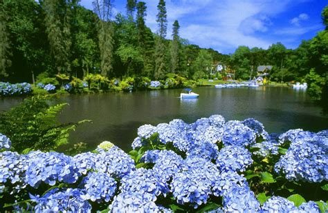 «neve em gramado #gramado #neve #nevando #serragaucha #frio #snow». Lugares para conhecer em Gramado | Guia Viajar Melhor ...