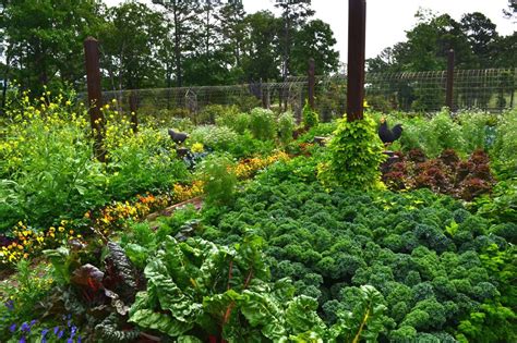 10 Edible Garden Ideas Awesome As Well As Interesting Natural Garden