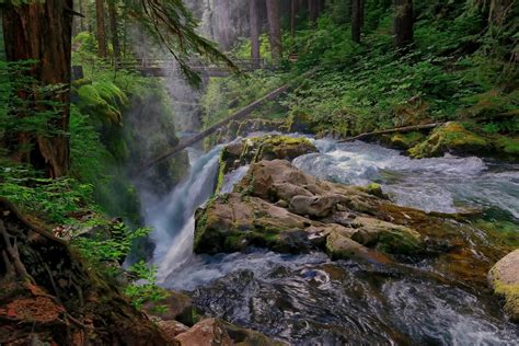Forest Waterfall Hd Wallpaper Background Image 1920x1281