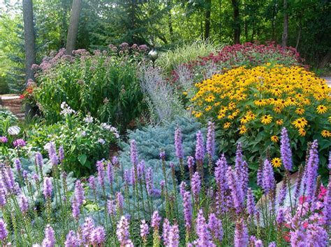 They thrive in full sun or partial shade, and need watering about once per week at times of low rainfall or if growing in containers. Full-Sun Perennials | HGTV