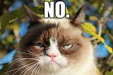 Can a person say no all the time? Grumpy Cat No | Grumpy Cat | Know Your Meme