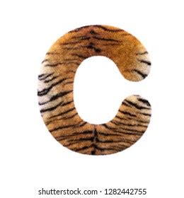 Tiger Letter S Capital 3d Feline Stock Illustration 1282442869