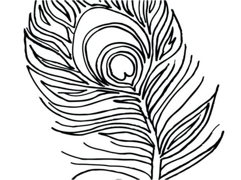 An elegant peacock with stunning plumage feather coloring page to color, print and download for free along with bunch of favorite peacock coloring page for kids. Peacock Feather Coloring Page at GetColorings.com | Free ...