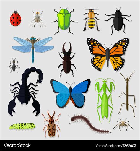 Set Various Insects Design Flat Royalty Free Vector Image