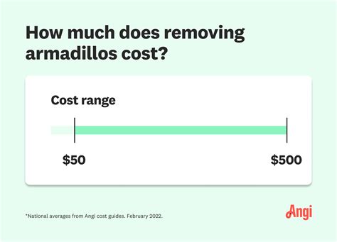 How Much Does Armadillo Removal Cost In 2023