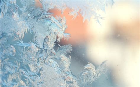 Nature Frost Winter Seasons Window Glass Mood Bokeh Cold