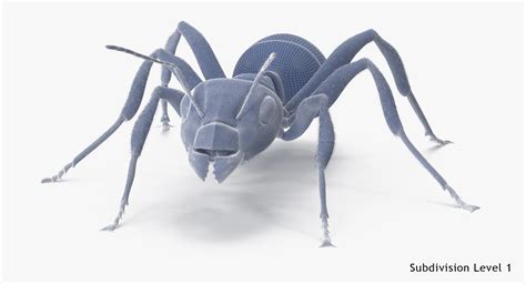 3d rigged ant model