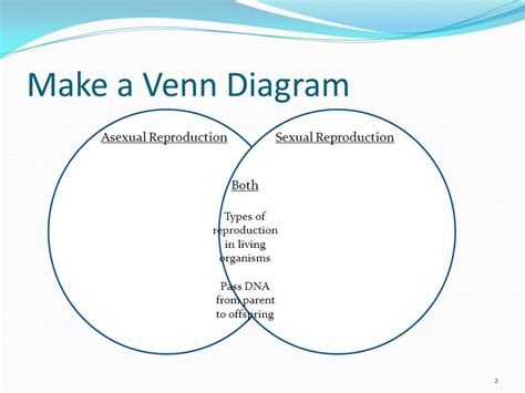 Flowchart Wiring And Diagram Venn Diagram Of Asexual And Sexual Reproduction