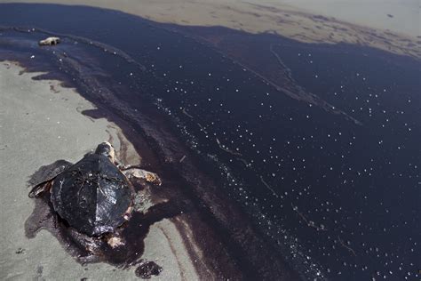Oil Pollution Act Summary And Impact