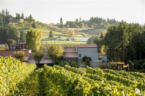4 Wineries To Explore In Willamette Valley Wine Country Oregon