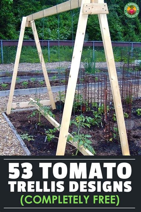 53 Tomato Trellis Designs Completely Free Vegetable Garden Trellis