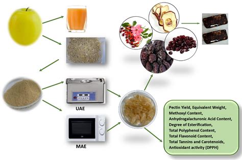 Foods Free Full Text Ultrasound And Microwave Assisted Extraction