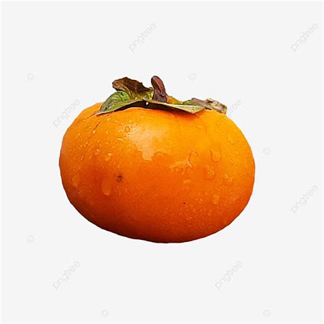 Persimmon Real Photo Without Background Creative White Photography