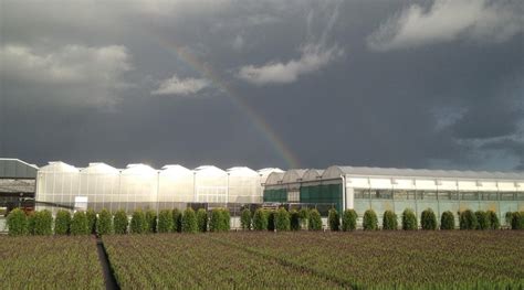 Find images of plant nursery. Vegetables and Plant Nursery