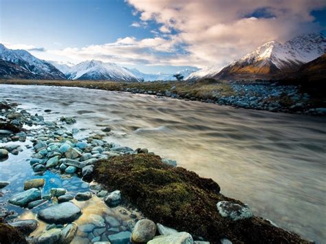 Nature Sidelined Landscapemt Cook New Zealand Picture