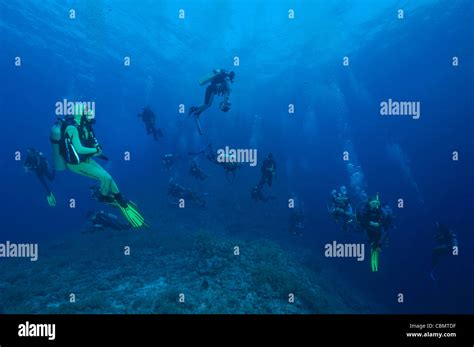 Scuba Divers At Elphinstone Reef Red Sea Egypt Stock Photo Alamy