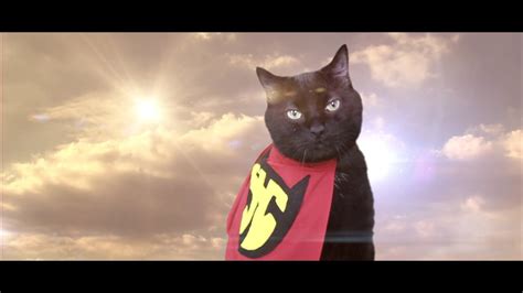 Super Hero Cat In You Official Music Video N2 The Talking Cat S4