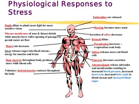 How does stress affect the body? Stress Causes, Effects and Management. By Dr. Ali Garatli