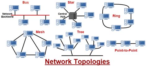 Types Of Network Topology ~ Acharya Nagarjuna University Syllabus