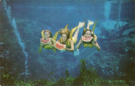 Mermaids Eating Florida Watermelon At Weeki Wachee Springs State Park