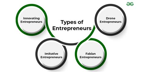 Types Of Entrepreneurs Innovating Imitative Fabian And Drone