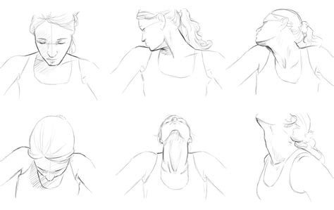 Female Neck Drawing Reference ~ Helpyoudraw Neck Reference Updated By Melissadalton From