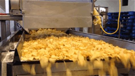 Scrub the potatoes clean or peel them thoroughly. How Dieffenbach's Potato Chips are made