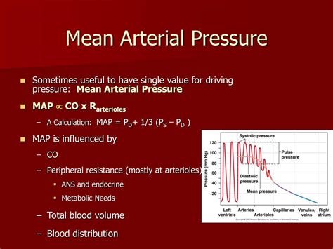 Ppt Blood Pressure Powerpoint Presentation Free Download Id3093490