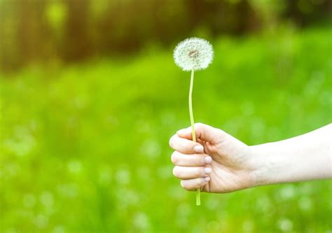 Premium Photo Lovely Summer Picture Of A Female Hand Holding