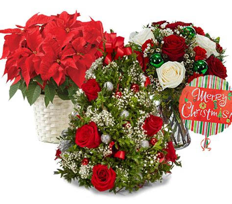 Flowers for jane offers same day delivery of beautiful fresh flowers from $39 and gifts in melbourne, victoria, australia. Same Day Christmas Flower Delivery Service Send Flowers On ...