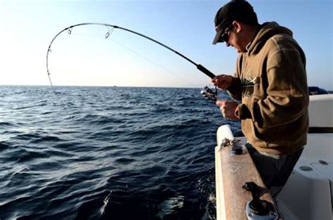 Pesca Deportiva En La Riviera Nayarit El Sitio Ideal El Souvenir