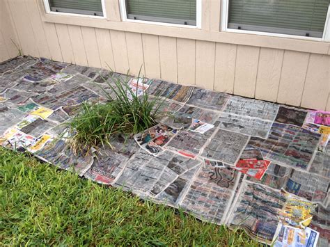 Cheapest And Most Effective Way To Keep Weeds Out Of The Flower Bed