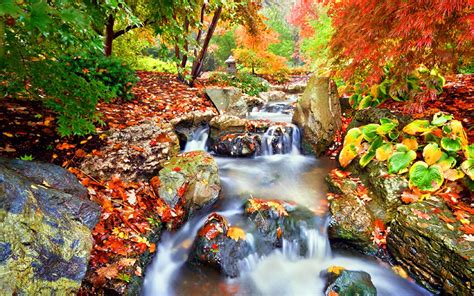Free photo: fall season - Autumn, Natural, Turning - Free Download - Jooinn