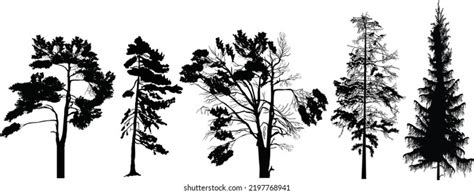 Forest Evergreen Trees Silhouette Isolated Set Stock Vector Royalty
