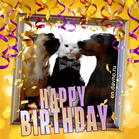 Incredible Happy Birthday Dog S 2022 Peepsburghcom