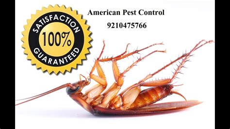 In the sophisticated living style everyone started opting the things that ensure safety. Indian Pest Control Company New Delhi Delhi | Pest Control