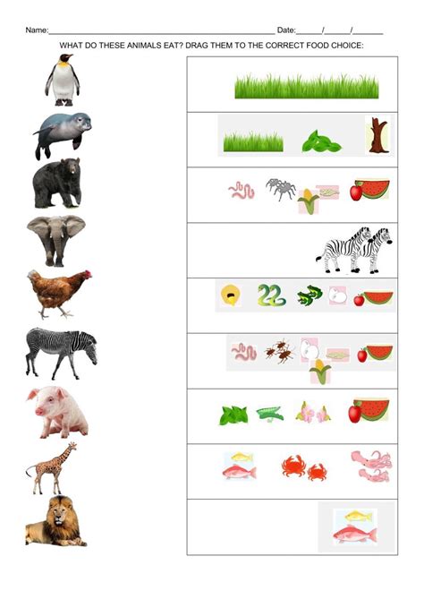 Animal Worksheets Preschool Worksheets Animal Eating Kids Class