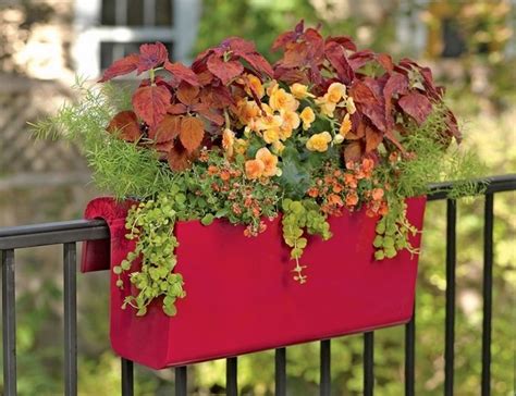 How to build a planter box (to hang from a deck rail). Super Cool Ideas Of How To Plant In Pots