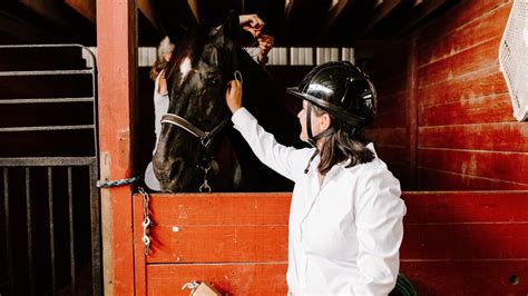 Kings Stables An Equine Therapy Program In Chelsea Needs Your Help