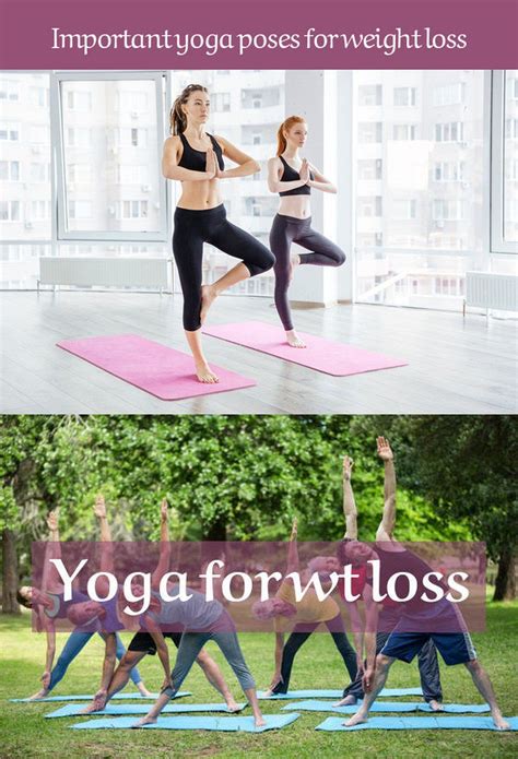 Yoga has been around since time immemorial. Best Free Yoga Apps For Weight Loss - All About Apps