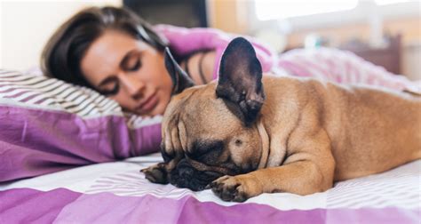 The Best Sleep Supplements Fall Asleep Fast With Biochemistry