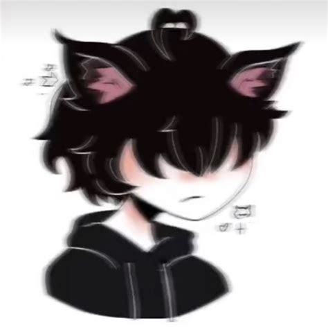Catboy Pfp In 2021 Cute Profile Pictures Picture Icon Catboy